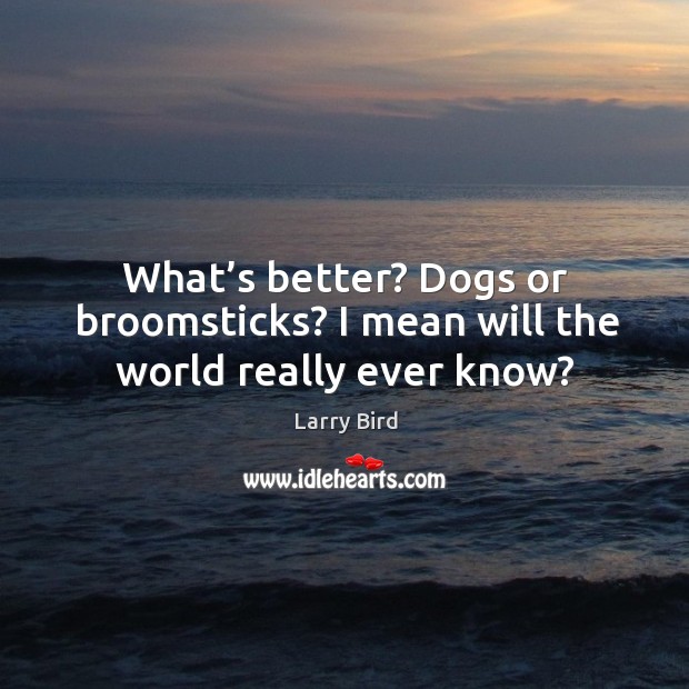 What’s better? dogs or broomsticks? I mean will the world really ever know? Larry Bird Picture Quote