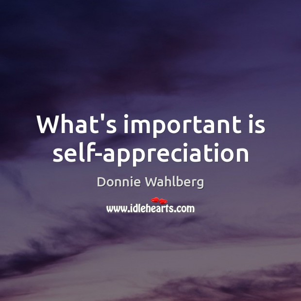 What’s important is self-appreciation Donnie Wahlberg Picture Quote