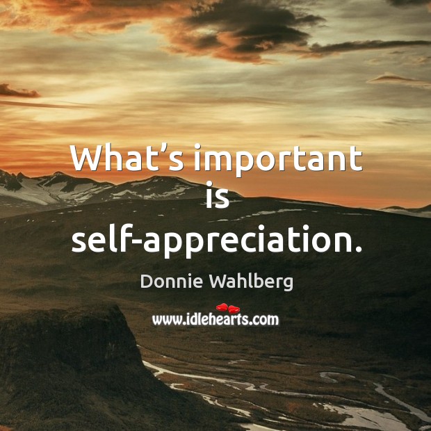 What’s important is self-appreciation. Donnie Wahlberg Picture Quote
