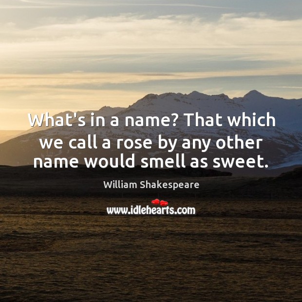 What’s in a name? That which we call a rose by any other name would smell as sweet. Image