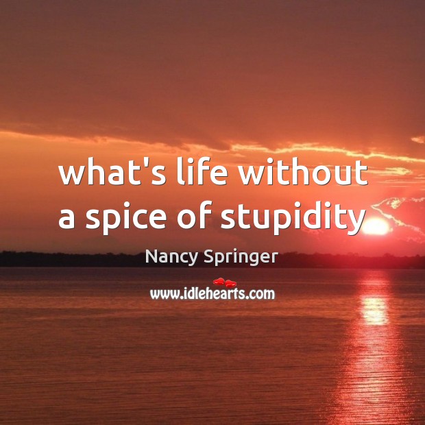 What’s life without a spice of stupidity Nancy Springer Picture Quote