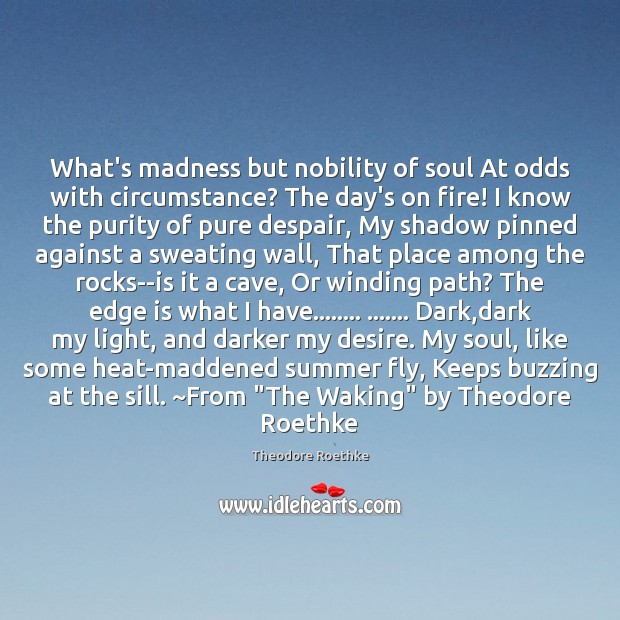 What’s madness but nobility of soul At odds with circumstance? The day’s Theodore Roethke Picture Quote