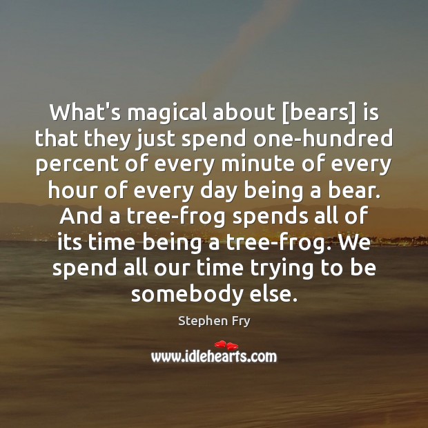 What’s magical about [bears] is that they just spend one-hundred percent of Stephen Fry Picture Quote