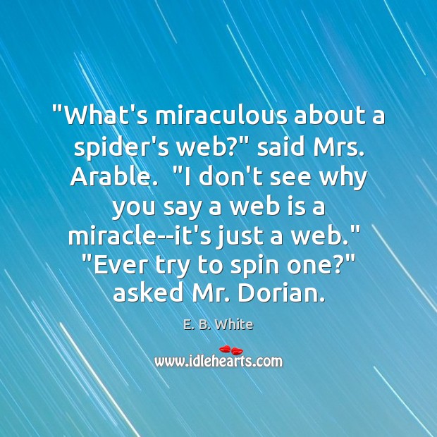 “What’s miraculous about a spider’s web?” said Mrs. Arable.  “I don’t see E. B. White Picture Quote