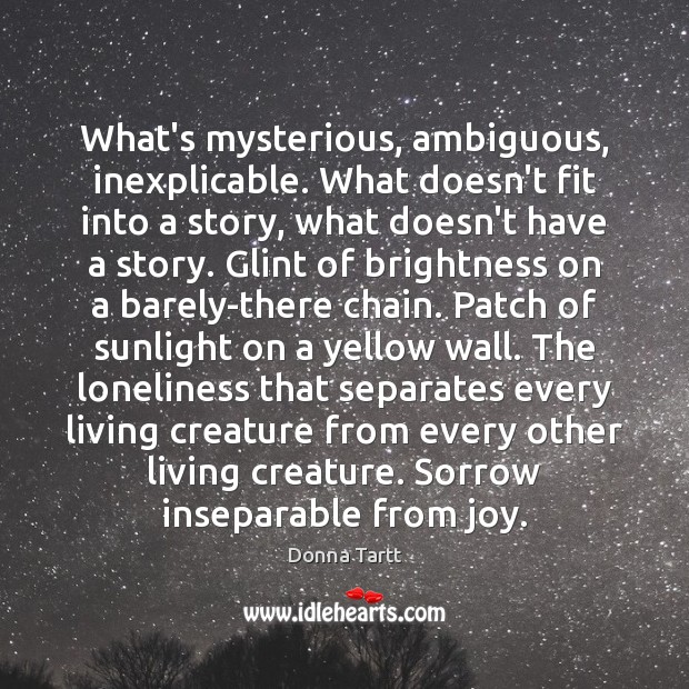 What’s mysterious, ambiguous, inexplicable. What doesn’t fit into a story, what doesn’t Image