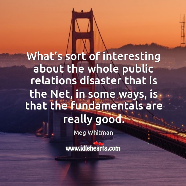 What’s sort of interesting about the whole public relations disaster that is the net, in some ways, is that the fundamentals are really good. Meg Whitman Picture Quote