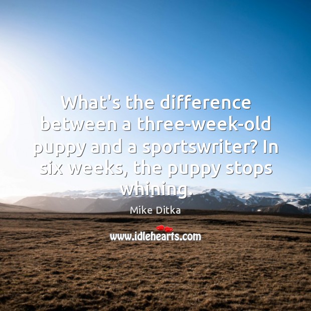 What’s the difference between a three-week-old puppy and a sportswriter? In six Mike Ditka Picture Quote