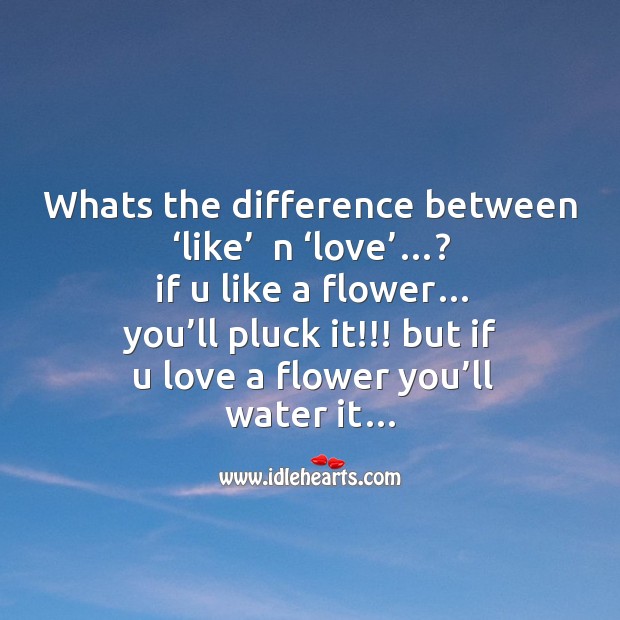 Whats the difference between ‘like’  n ‘love’…? Water Quotes Image
