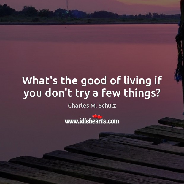 What’s the good of living if you don’t try a few things? 