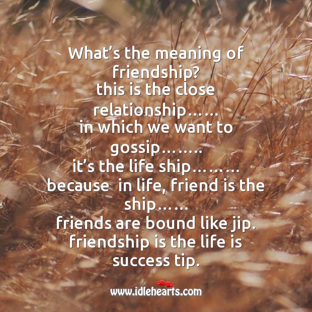 what does friendship mean