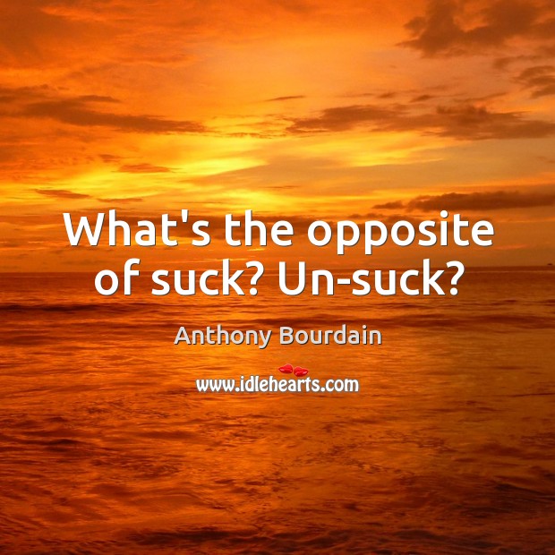 What’s the opposite of suck? Un-suck? Anthony Bourdain Picture Quote