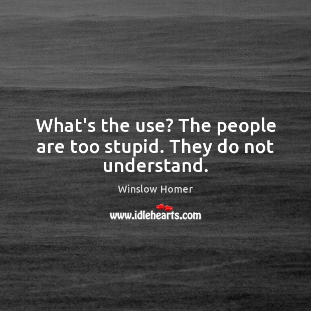 What’s the use? The people are too stupid. They do not understand. Winslow Homer Picture Quote