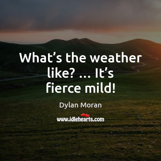 What’s the weather like? … It’s fierce mild! Image