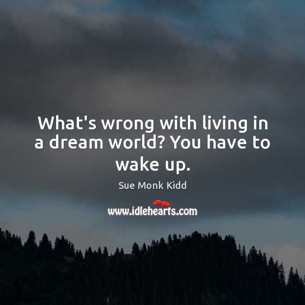 What’s wrong with living in a dream world? You have to wake up. Sue Monk Kidd Picture Quote