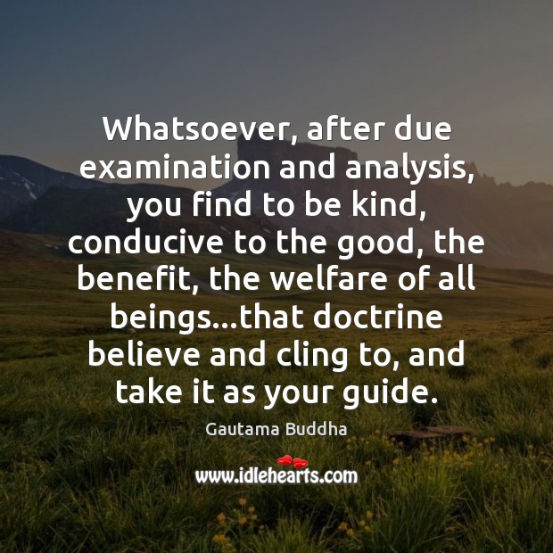 Whatsoever, after due examination and analysis, you find to be kind, conducive Gautama Buddha Picture Quote