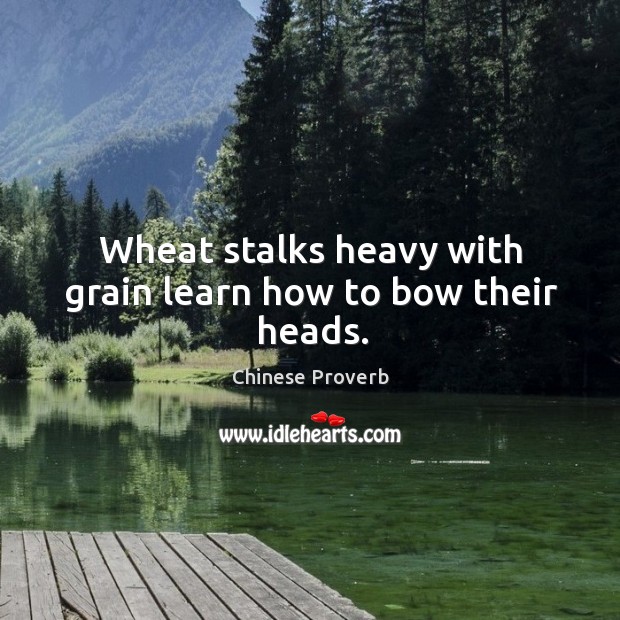 Wheat stalks heavy with grain learn how to bow their heads. Chinese Proverbs Image