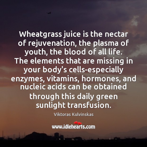 Wheatgrass juice is the nectar of rejuvenation, the plasma of youth, the Viktoras Kulvinskas Picture Quote