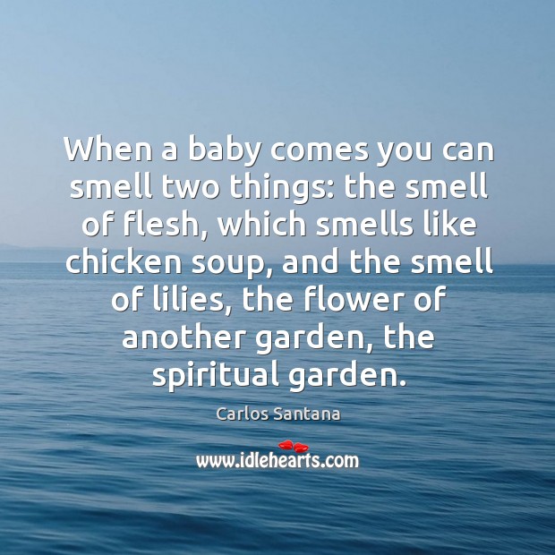 When a baby comes you can smell two things: the smell of flesh, which smells like Image