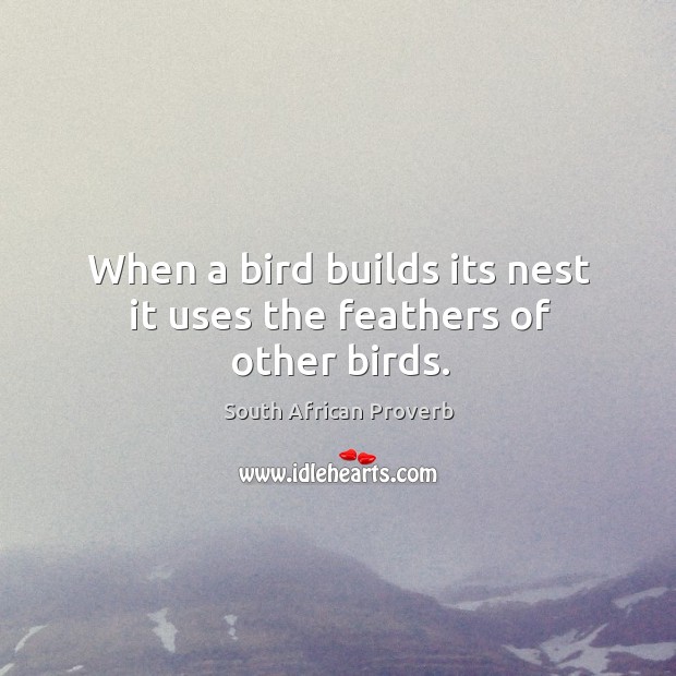 When a bird builds its nest it uses the feathers of other birds. South African Proverbs Image