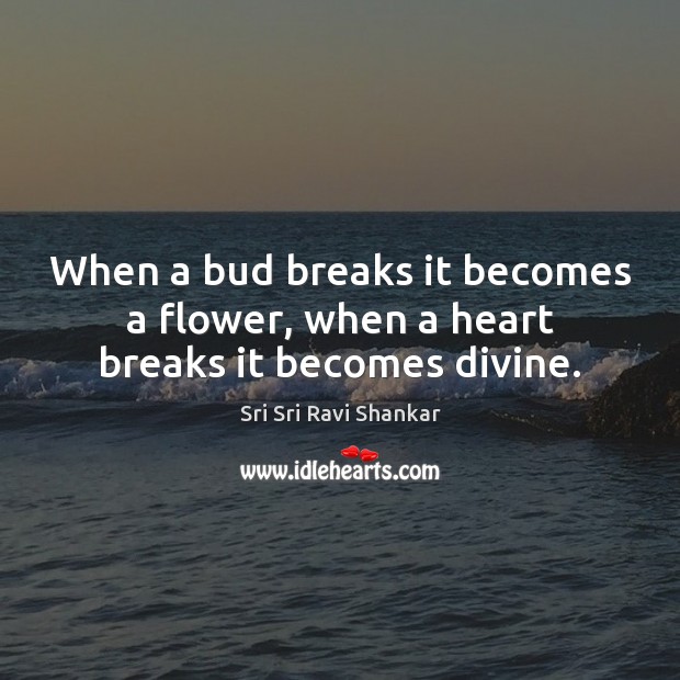 When a bud breaks it becomes a flower, when a heart breaks it becomes divine. Image