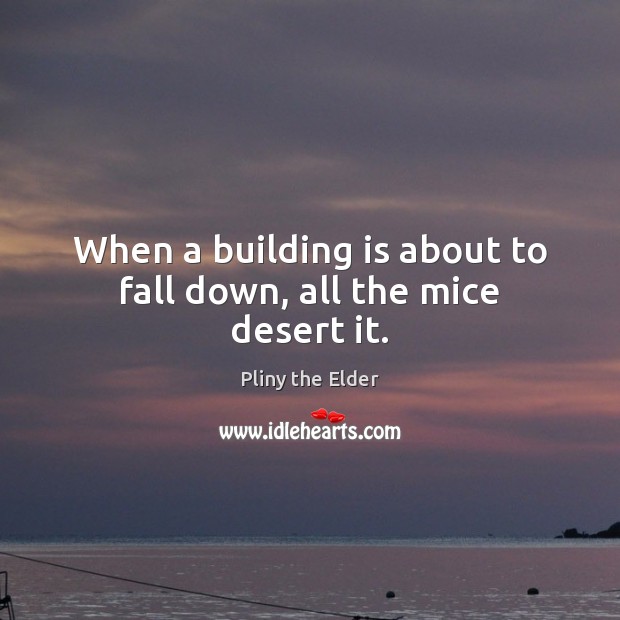 When a building is about to fall down, all the mice desert it. Pliny the Elder Picture Quote