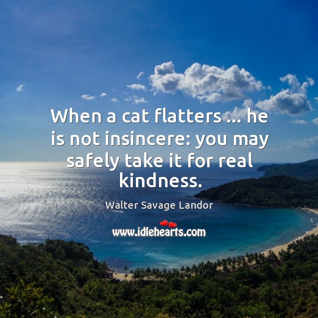 When a cat flatters … he is not insincere: you may safely take it for real kindness. Image