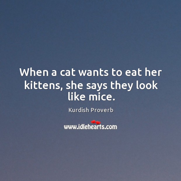 When a cat wants to eat her kittens, she says they look like mice. Kurdish Proverbs Image