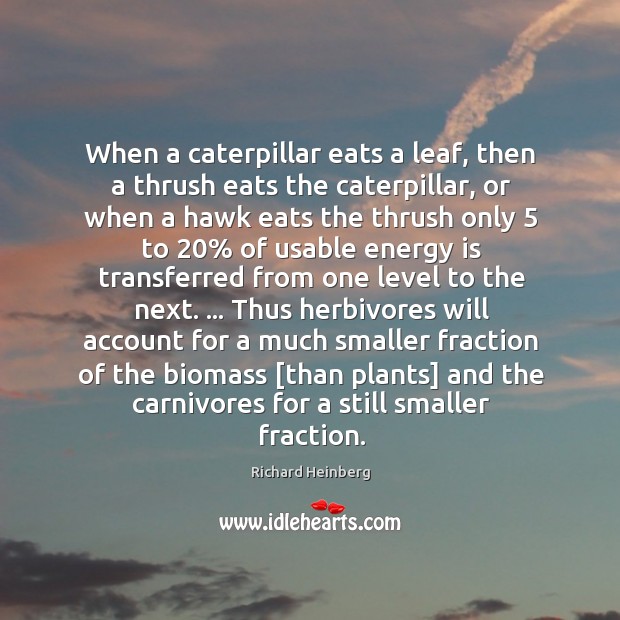 When a caterpillar eats a leaf, then a thrush eats the caterpillar, Richard Heinberg Picture Quote