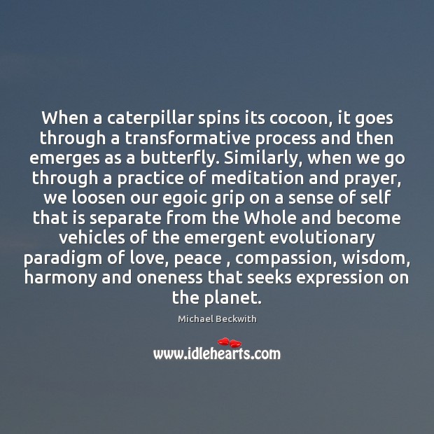 When a caterpillar spins its cocoon, it goes through a transformative process Michael Beckwith Picture Quote