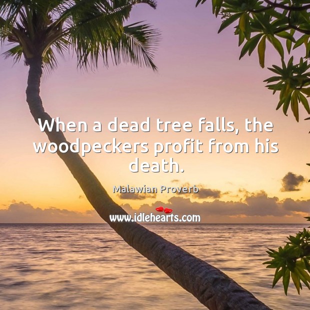 When a dead tree falls, the woodpeckers profit from his death. Malawian Proverbs Image