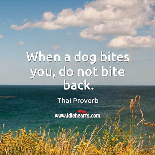 When a dog bites you, do not bite back. Thai Proverbs Image