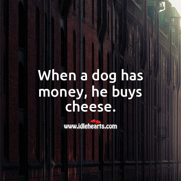 When a dog has money, he buys cheese. Jamaican Proverbs Image