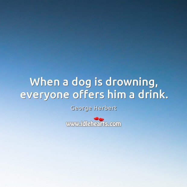 When a dog is drowning, everyone offers him a drink. George Herbert Picture Quote