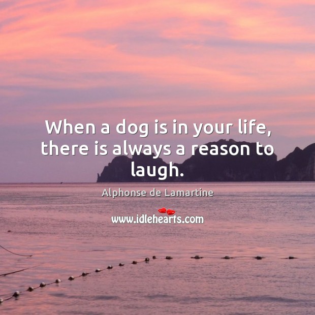 When a dog is in your life, there is always a reason to laugh. Alphonse de Lamartine Picture Quote