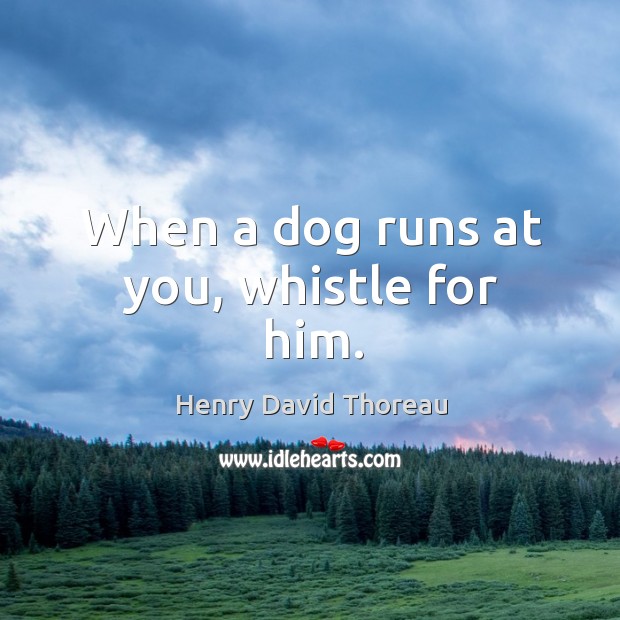 When a dog runs at you, whistle for him. Henry David Thoreau Picture Quote