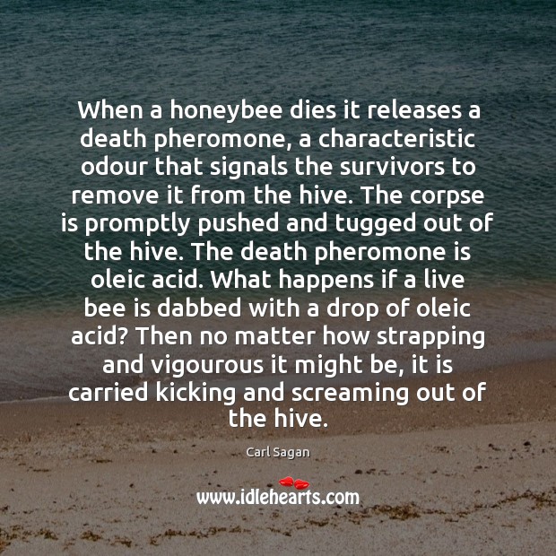 When a honeybee dies it releases a death pheromone, a characteristic odour Carl Sagan Picture Quote