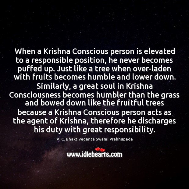 When a Krishna Conscious person is elevated to a responsible position, he A. C. Bhaktivedanta Swami Prabhupada Picture Quote