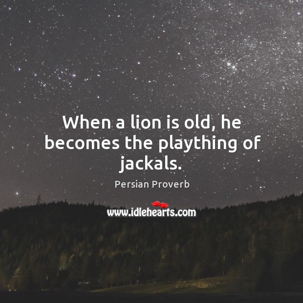 When a lion is old, he becomes the plaything of jackals. Image