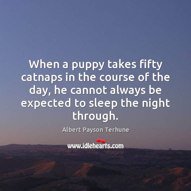 When a puppy takes fifty catnaps in the course of the day, Albert Payson Terhune Picture Quote
