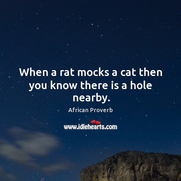 When a rat mocks a cat then you know there is a hole nearby. Image