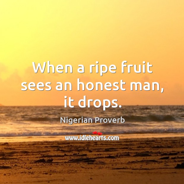 When a ripe fruit sees an honest man, it drops. Nigerian Proverbs Image