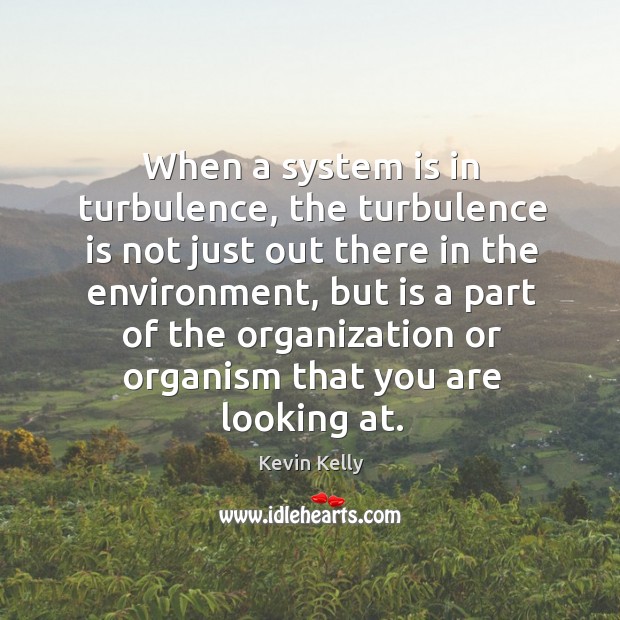 When a system is in turbulence, the turbulence is not just out there in the environment Kevin Kelly Picture Quote