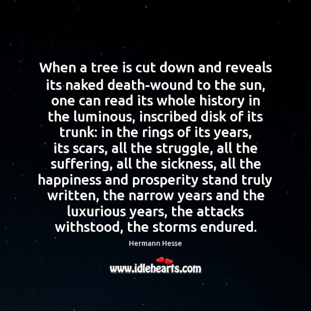 When a tree is cut down and reveals its naked death-wound to Hermann Hesse Picture Quote