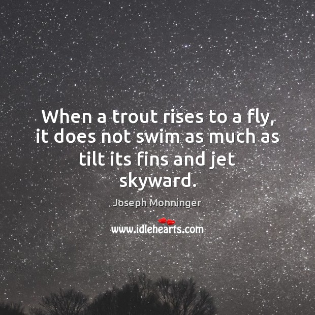 When a trout rises to a fly, it does not swim as much as tilt its fins and jet skyward. Joseph Monninger Picture Quote