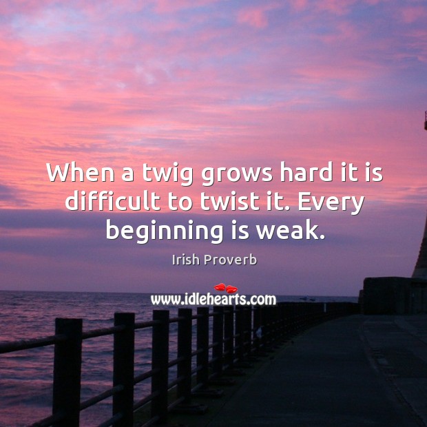 When a twig grows hard it is difficult to twist it. Every beginning is weak. Irish Proverbs Image