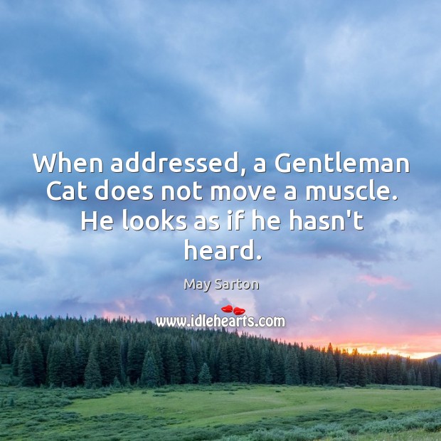 When addressed, a Gentleman Cat does not move a muscle. He looks as if he hasn’t heard. Image