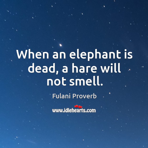 When an elephant is dead, a hare will not smell. Fulani Proverbs Image