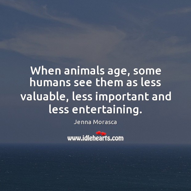 When animals age, some humans see them as less valuable, less important Jenna Morasca Picture Quote
