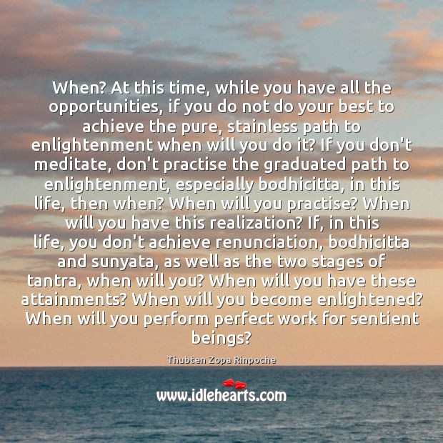 When? At this time, while you have all the opportunities, if you Thubten Zopa Rinpoche Picture Quote