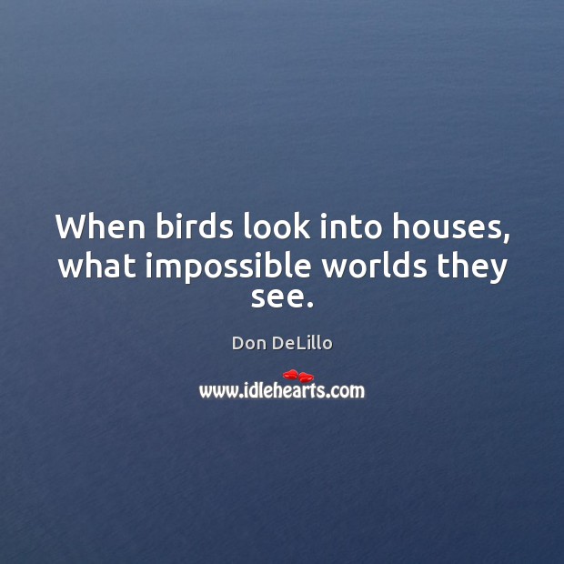 When birds look into houses, what impossible worlds they see. Don DeLillo Picture Quote